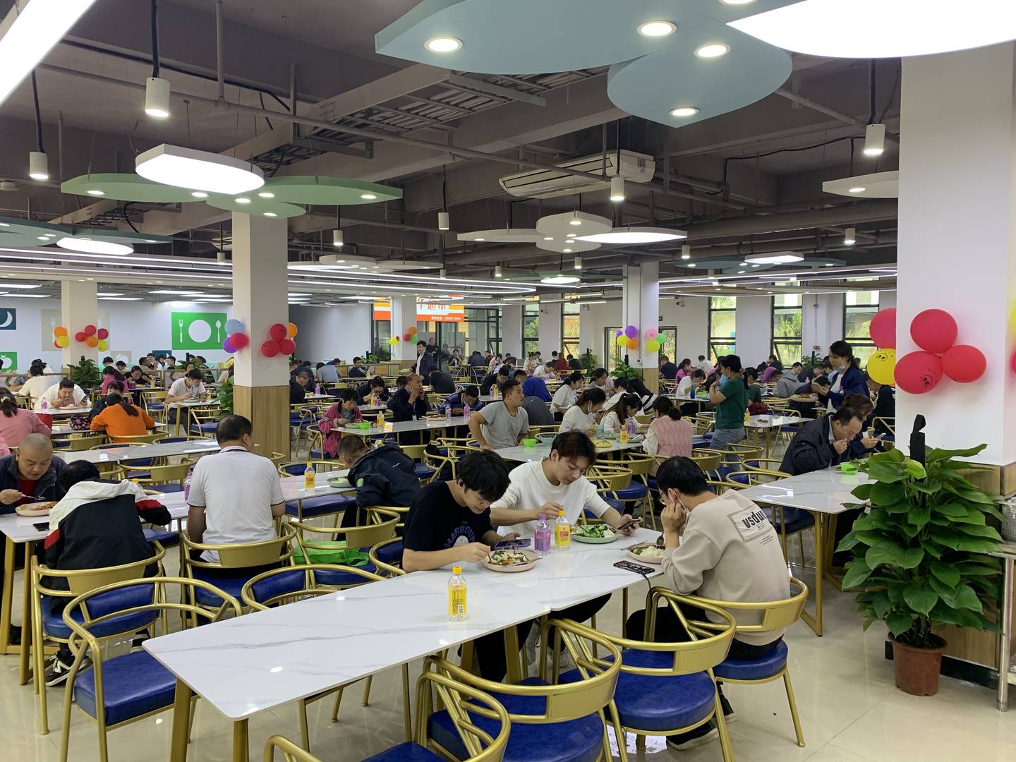 教育部 市场监管总局联合印发《学校食堂大宗食材采购验收管理工作指引》